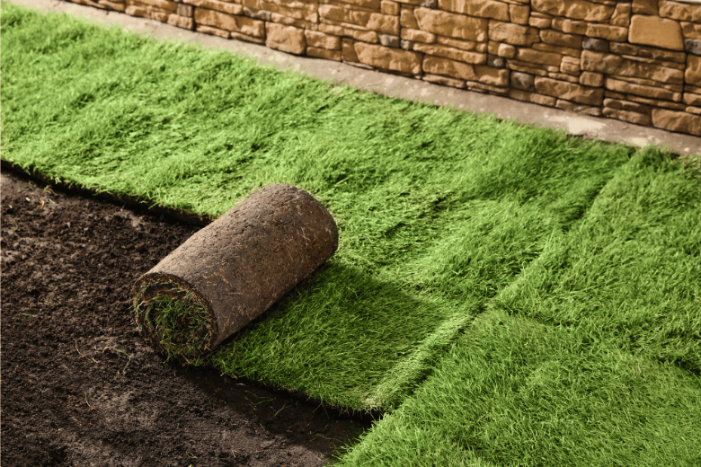 Sod Installation