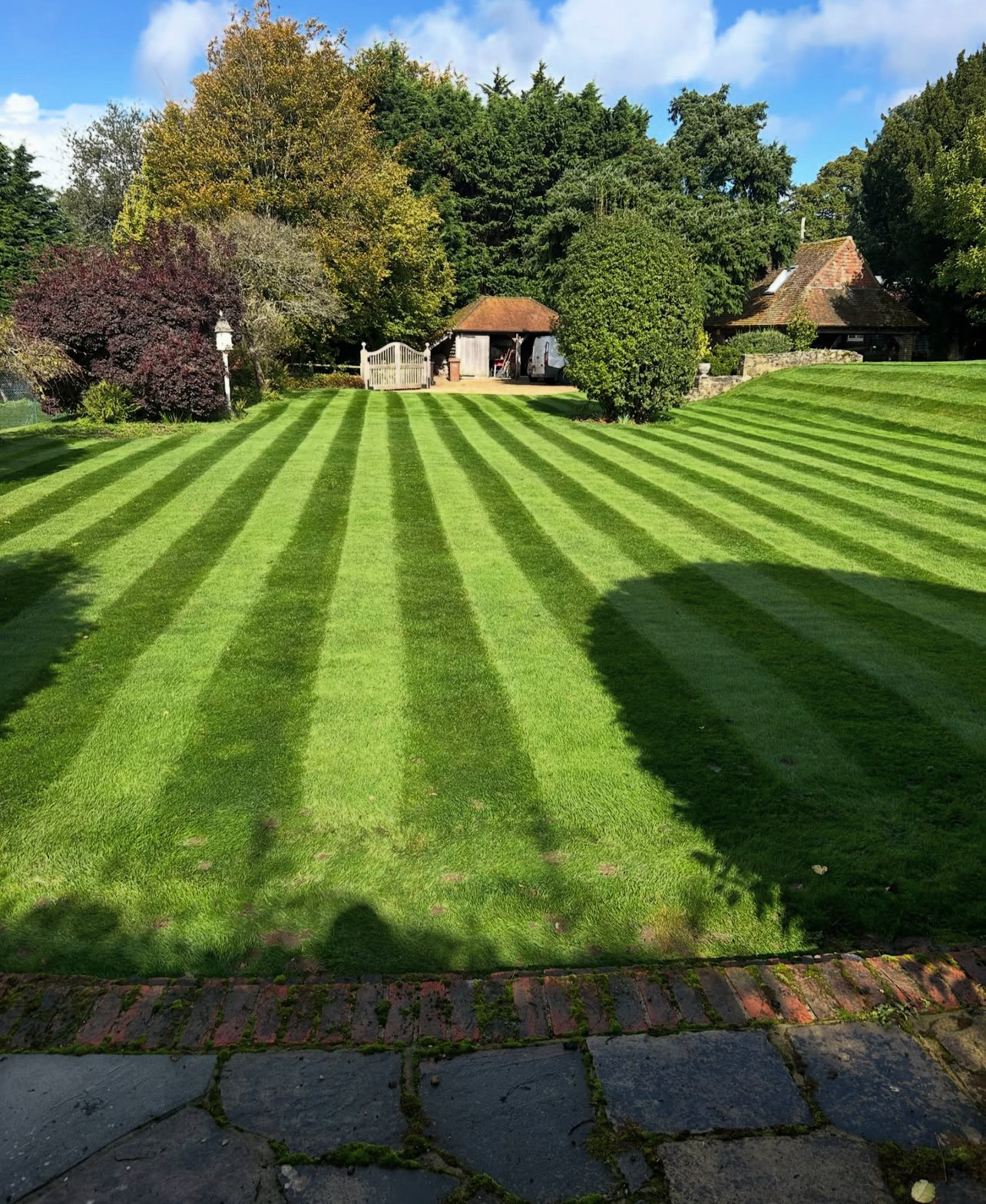 Lawn Maintenance