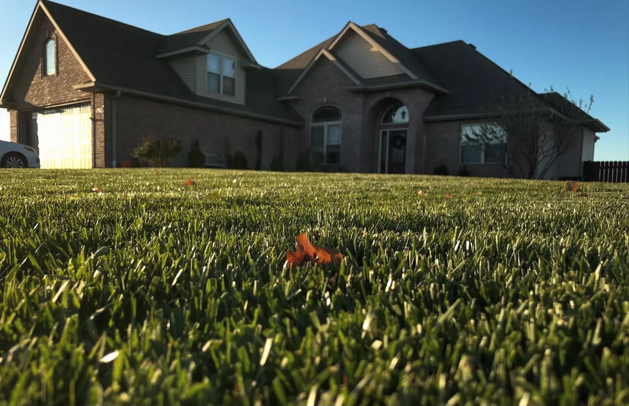 Lawn Maintenance 